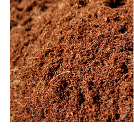 COCO - MIX